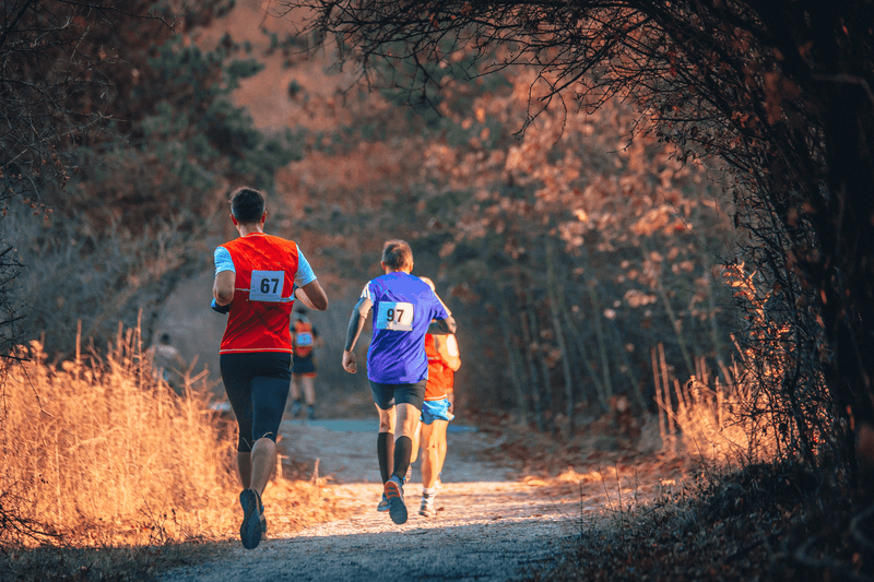 Engineered For Endurance